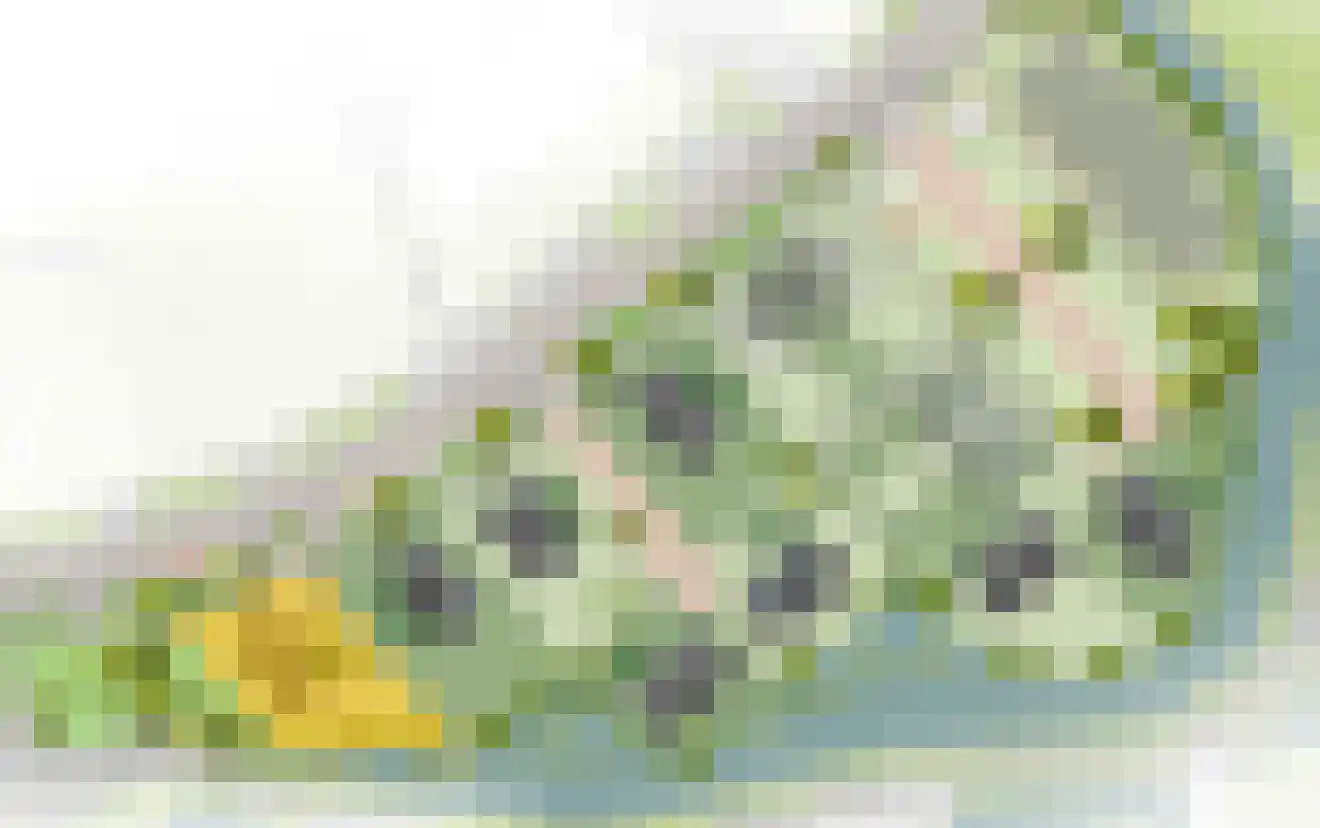 De Groendijck 1 Driebruggen thumbnail 5