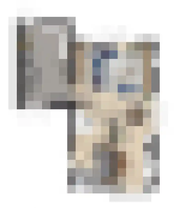 De Groendijck 1 Driebruggen thumbnail 6