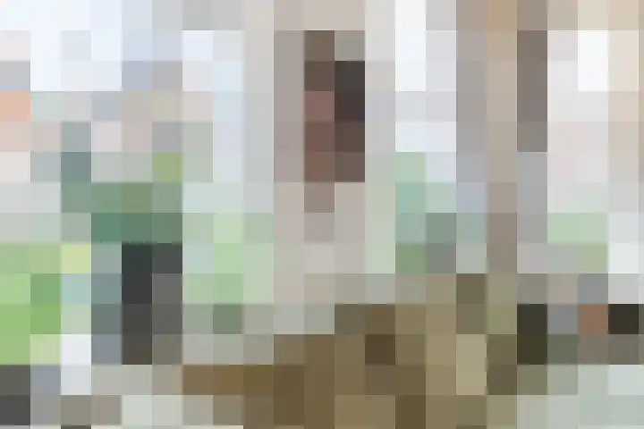 De Groendijck 10 Driebruggen thumbnail 11