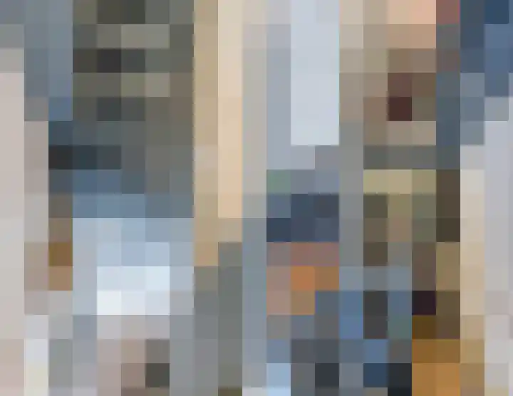 De Groendijck 10 Driebruggen thumbnail 13