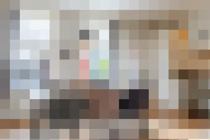 De Groendijck 10 Driebruggen thumbnail 14