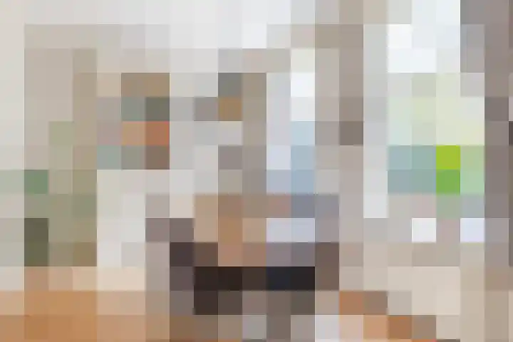 De Groendijck 10 Driebruggen thumbnail 15