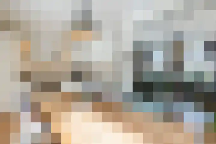 De Groendijck 10 Driebruggen thumbnail 17