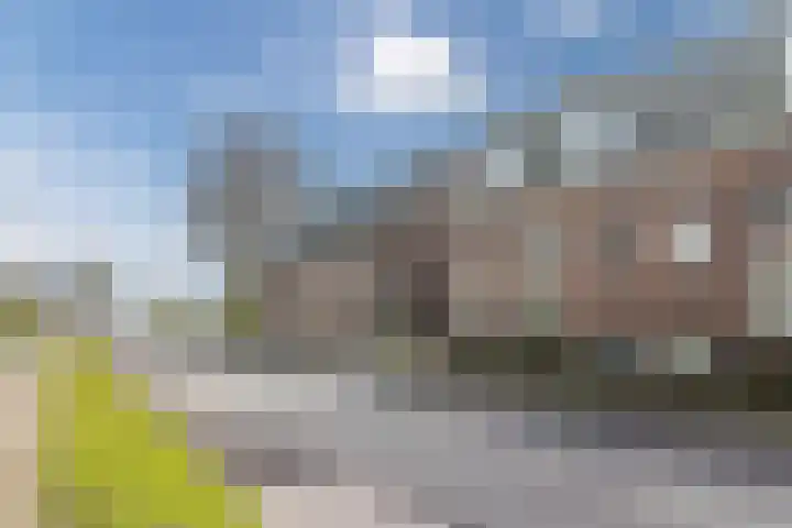 De Groendijck 10 Driebruggen thumbnail 21