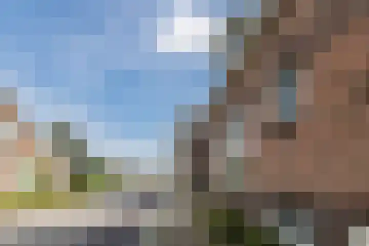De Groendijck 10 Driebruggen thumbnail 24