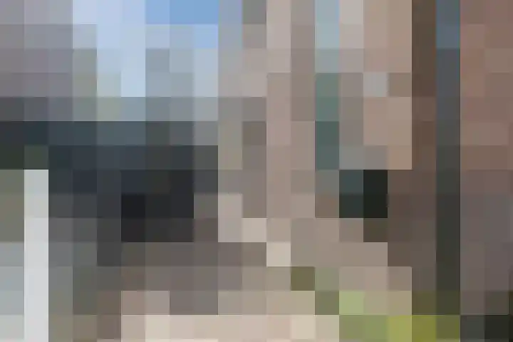 De Groendijck 10 Driebruggen thumbnail 26