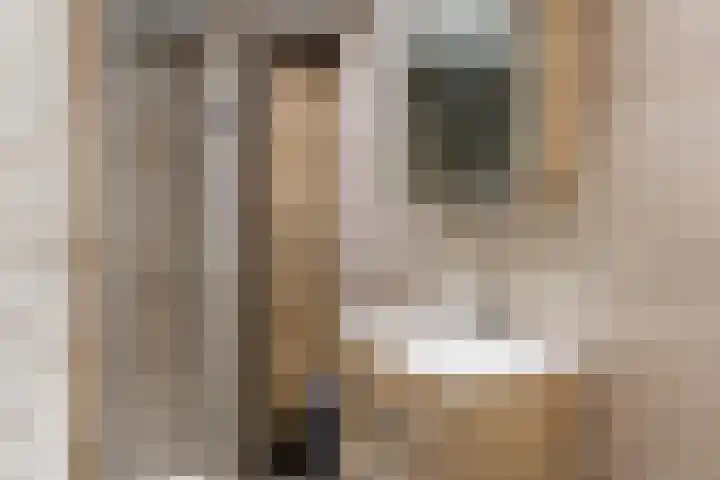 De Groendijck 10 Driebruggen thumbnail 30