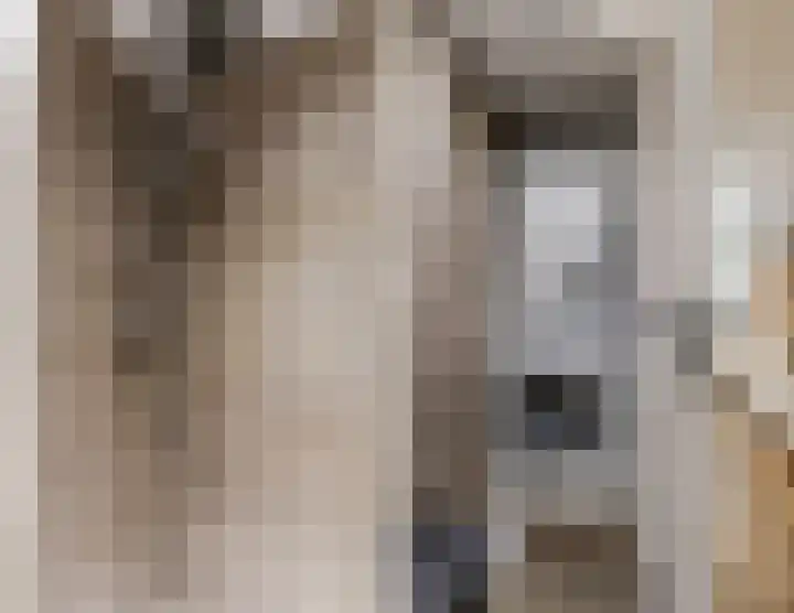 De Groendijck 10 Driebruggen thumbnail 31