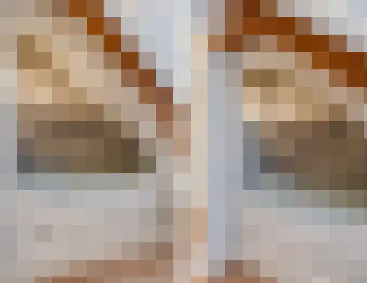 De Groendijck 10 Driebruggen thumbnail 39