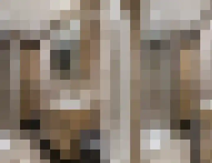 De Groendijck 10 Driebruggen thumbnail 4