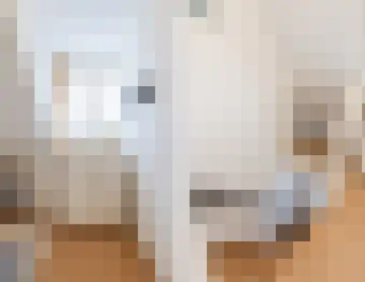 De Groendijck 10 Driebruggen thumbnail 40