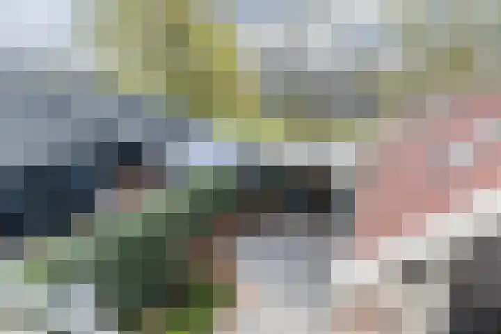 De Groendijck 10 Driebruggen thumbnail 42