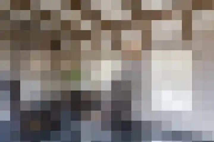 De Groendijck 10 Driebruggen thumbnail 43