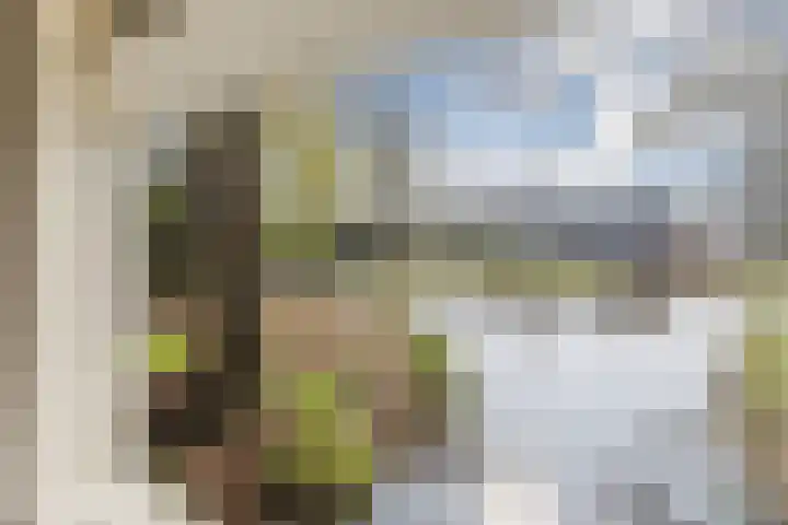 De Groendijck 10 Driebruggen thumbnail 45