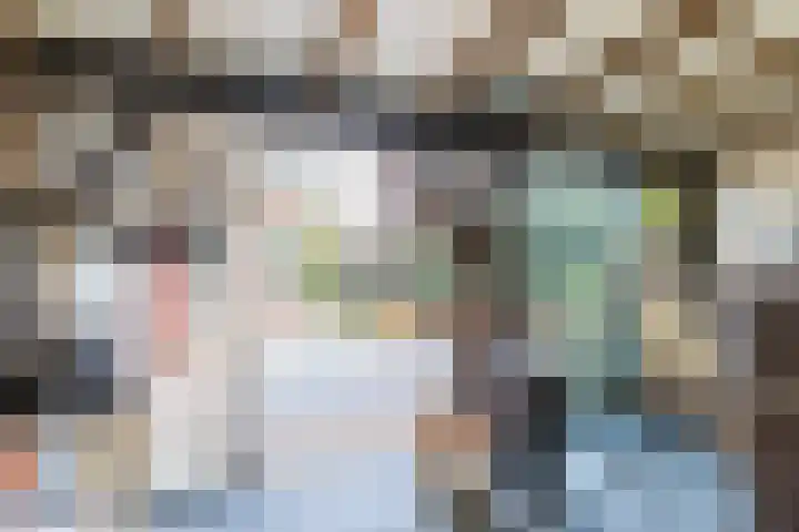 De Groendijck 10 Driebruggen thumbnail 5