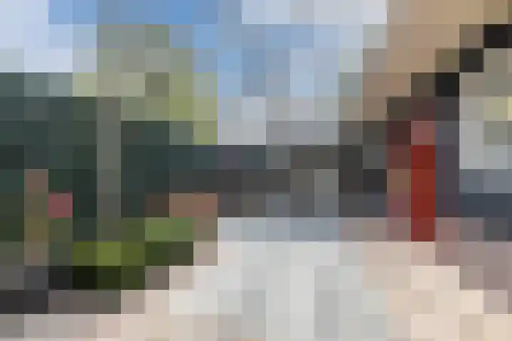De Groendijck 10 Driebruggen thumbnail 50