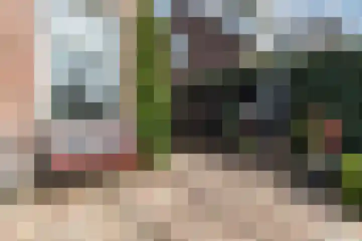 De Groendijck 10 Driebruggen thumbnail 52