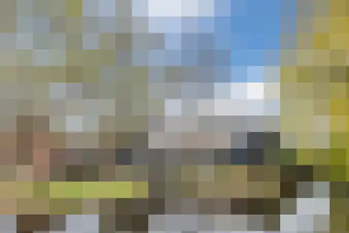 De Groendijck 10 Driebruggen thumbnail 53