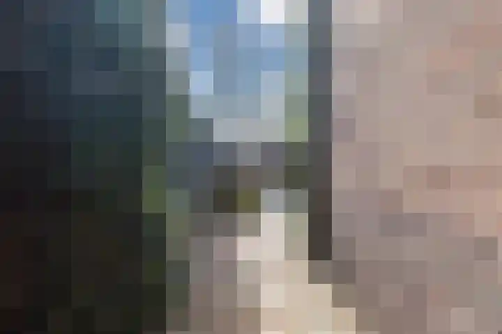 De Groendijck 10 Driebruggen thumbnail 54