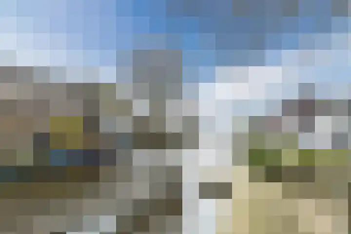 De Groendijck 10 Driebruggen thumbnail 55