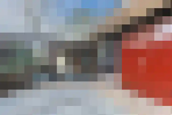 De Groendijck 10 Driebruggen thumbnail 6