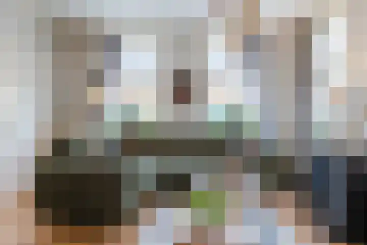 De Groendijck 10 Driebruggen thumbnail 7