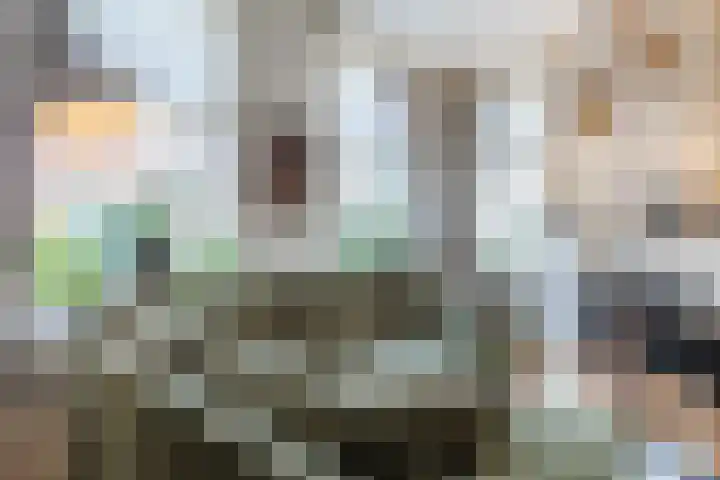 De Groendijck 10 Driebruggen thumbnail 9