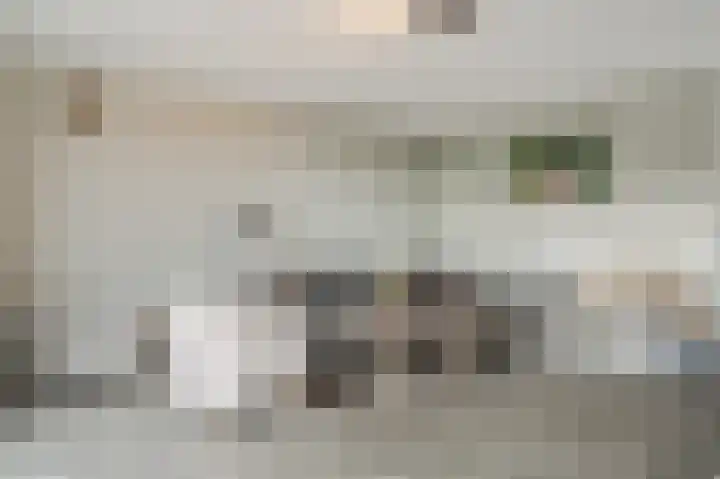 De Groendijck 18 a Driebruggen thumbnail 11
