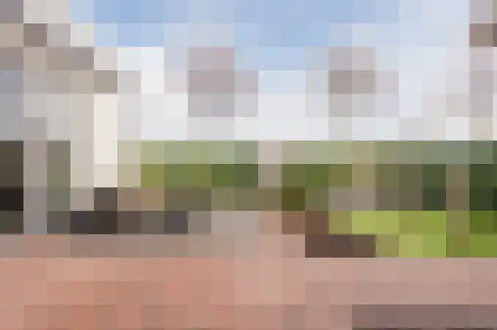 De Groendijck 18 a Driebruggen thumbnail 32