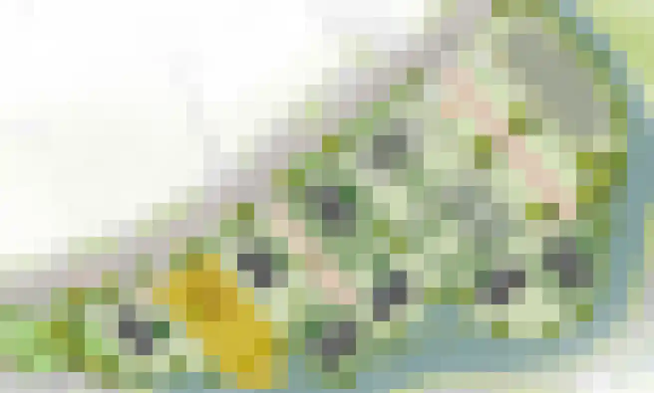 De Groendijck 2 Driebruggen thumbnail 5