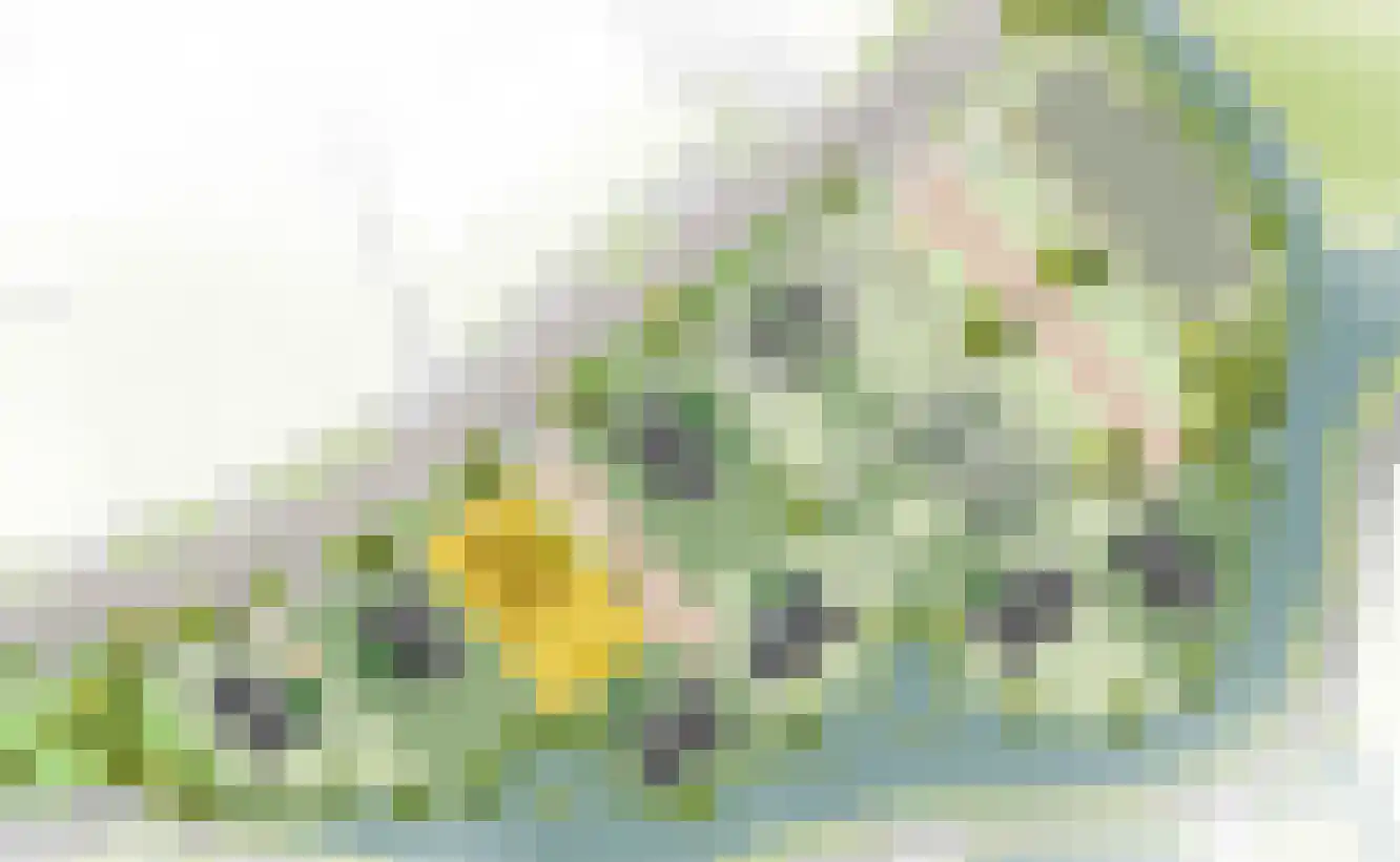 De Groendijck 3 Driebruggen thumbnail 5