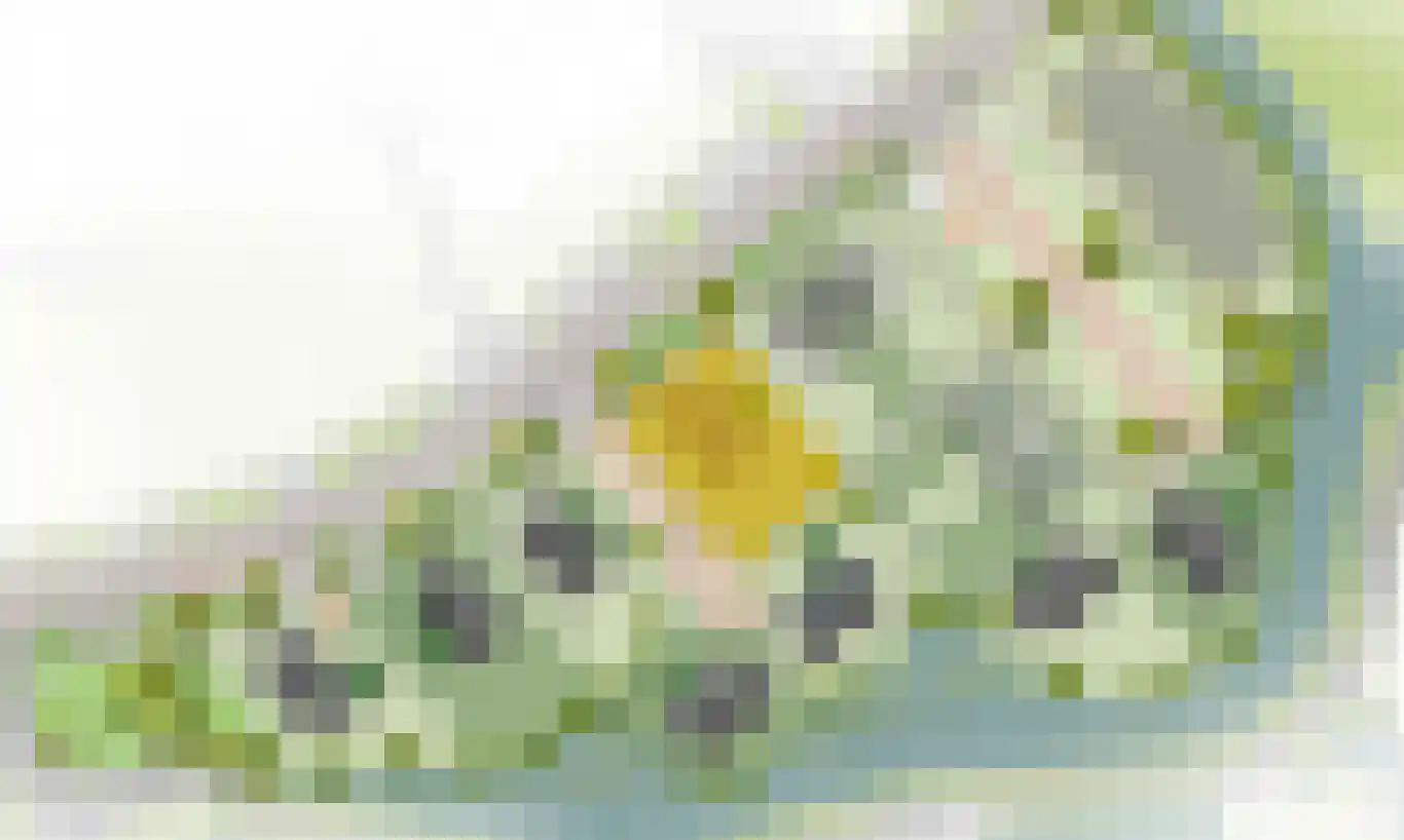De Groendijck 4 Driebruggen thumbnail 5