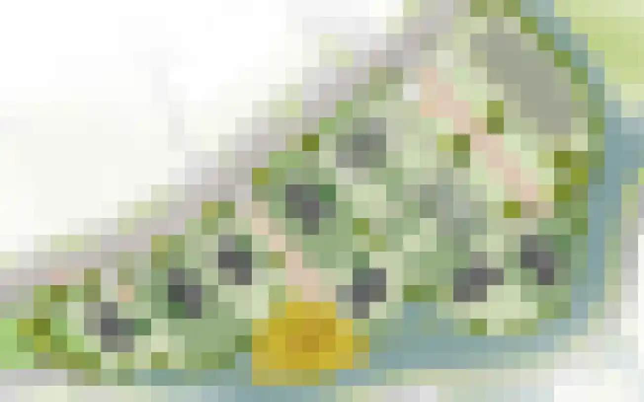 De Groendijck 8 Driebruggen thumbnail 5