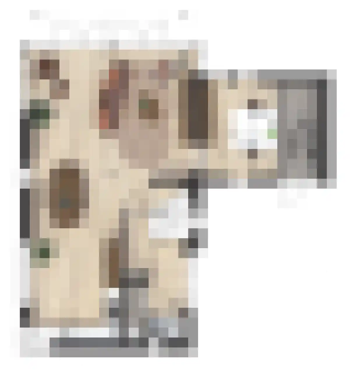 De Groendijck 8 Driebruggen thumbnail 6