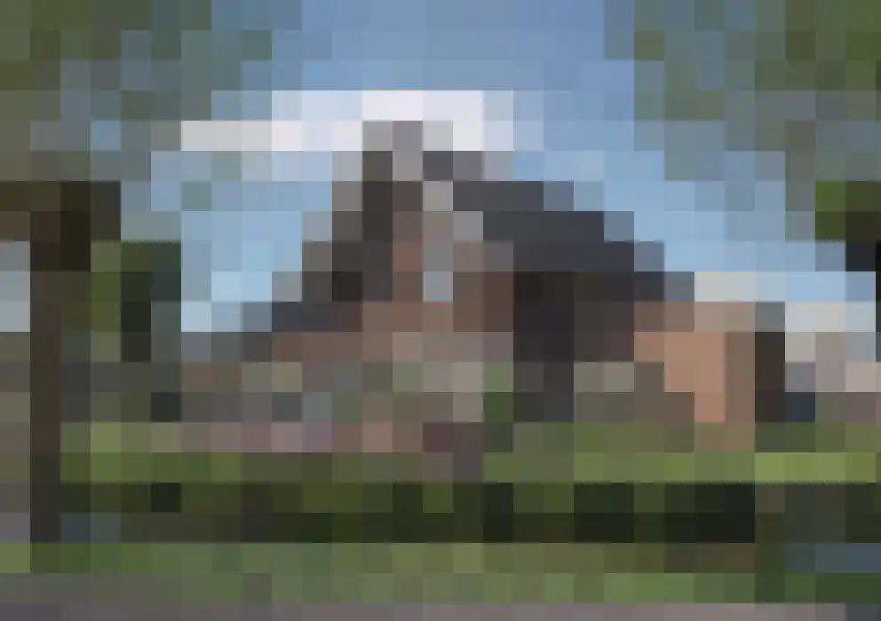 De Groendijck 9 Driebruggen foto 2