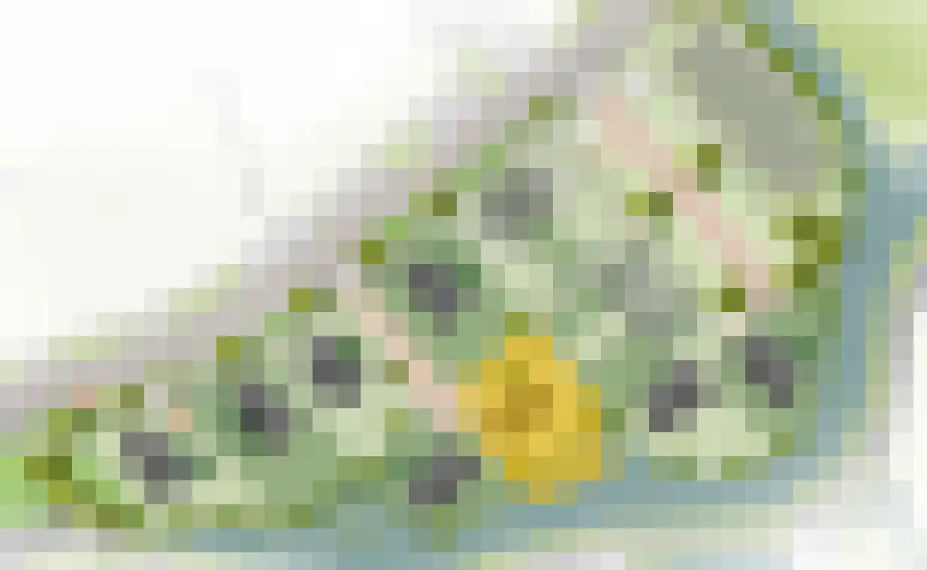 De Groendijck 9 Driebruggen thumbnail 5