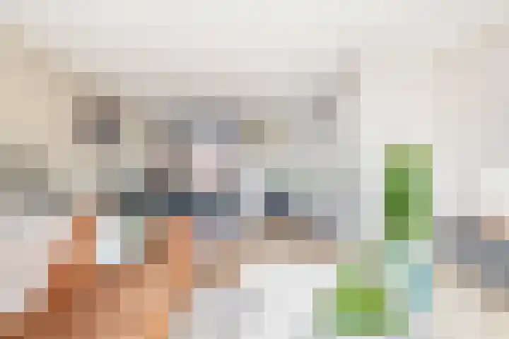 De Groene Arend 3 Wormerveer thumbnail 14