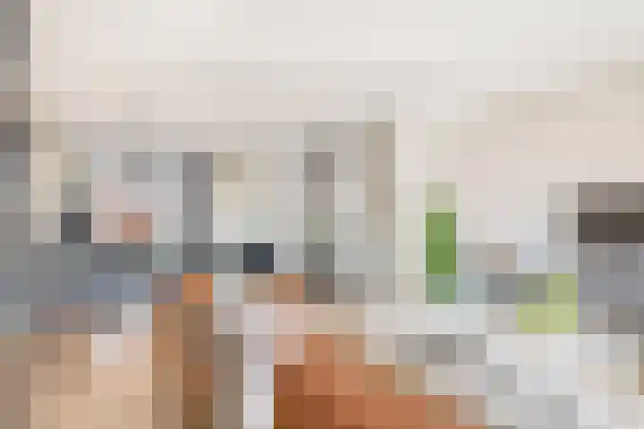 De Groene Arend 3 Wormerveer thumbnail 15