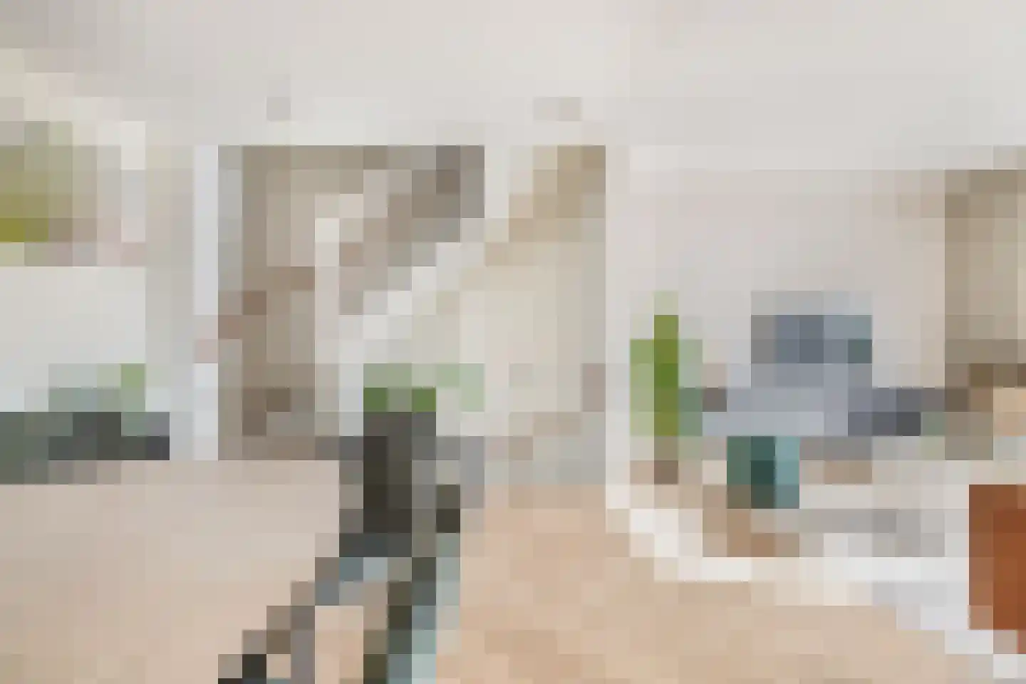 De Groene Arend 3 Wormerveer thumbnail 18