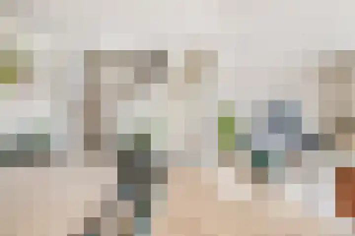 De Groene Arend 3 Wormerveer thumbnail 18