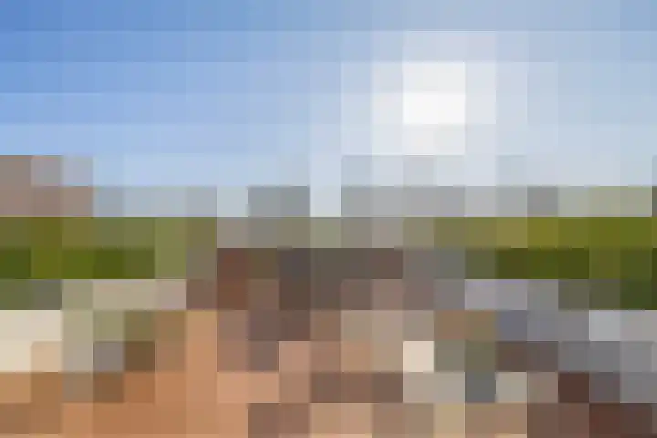 De Groene Arend 3 Wormerveer thumbnail 24