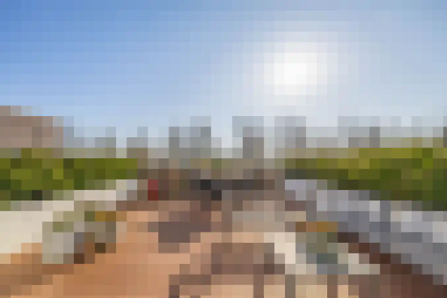 De Groene Arend 3 Wormerveer thumbnail 24