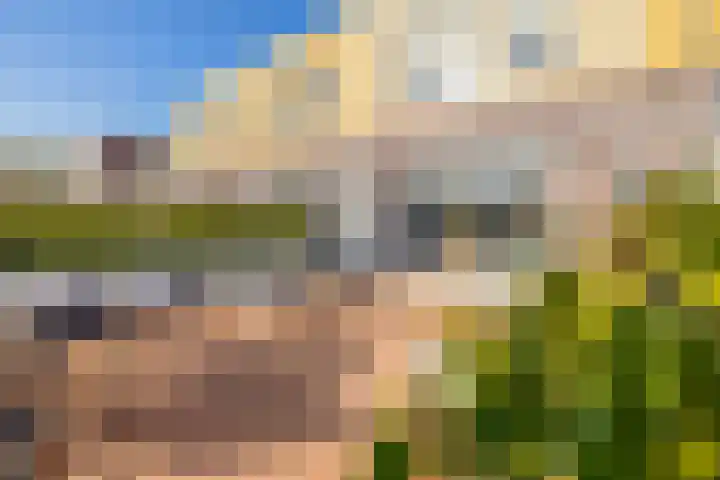 De Groene Arend 3 Wormerveer thumbnail 26