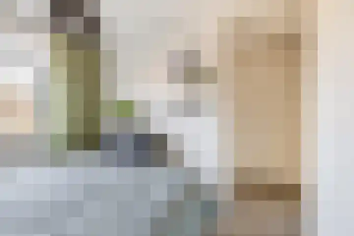 De Groene Arend 3 Wormerveer thumbnail 29