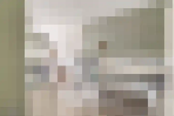 De Groene Arend 3 Wormerveer thumbnail 33