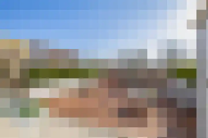 De Groene Arend 3 Wormerveer thumbnail 4