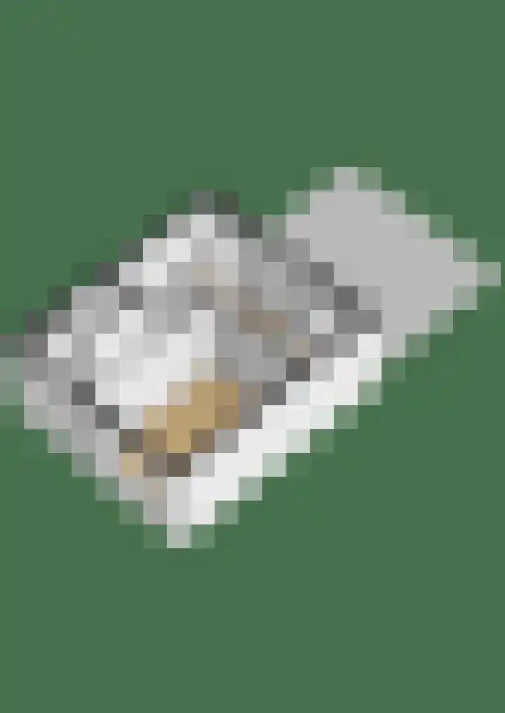 De Groene Arend 3 Wormerveer thumbnail 42