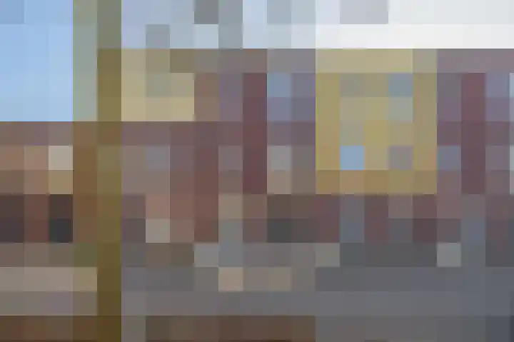 De Groene Arend 3 Wormerveer thumbnail 6