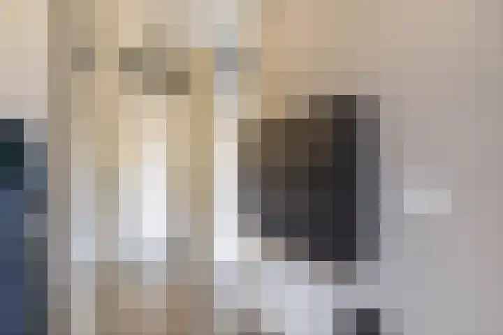 De Groene Arend 3 Wormerveer thumbnail 8