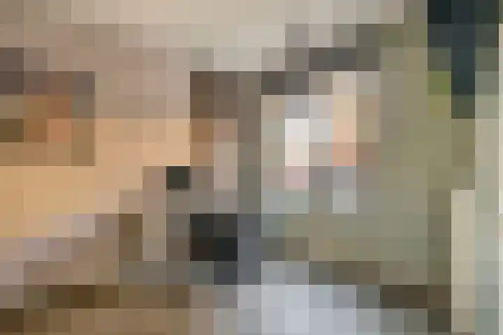 De Groene Arend 3 Wormerveer thumbnail 9